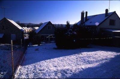 jardin.jpg