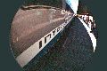 fish-interloire.gif