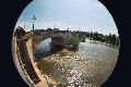 fish-pont.gif