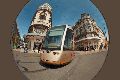 fish-tram.gif