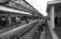 gare-ladispoli.jpg