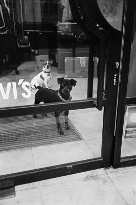 Paris-2014-12-11.jpg