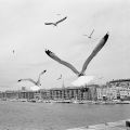 Marseille_11.jpg