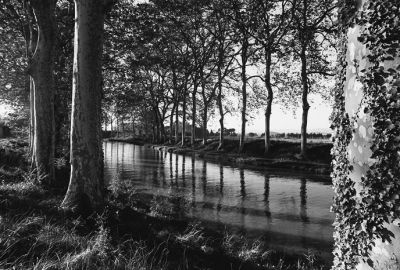 canalcolombiersweb.jpg