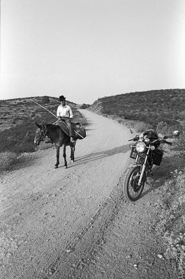 mulemotoportugalweb.jpg