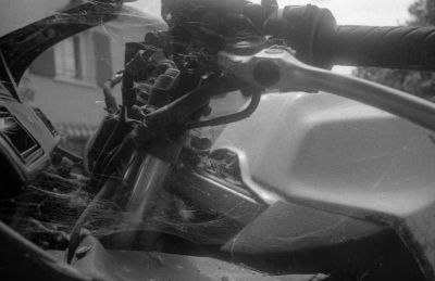 La tête de fourche
Photo n°2 du triptyque sur le theme " A l'abandon "
