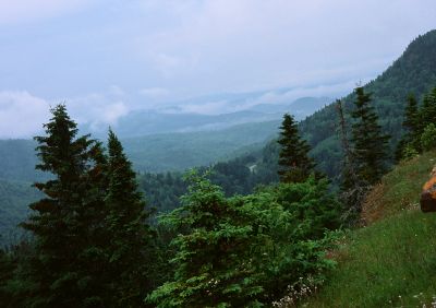 Parc de la Gaspésie, Québec
Mots-clés: Gaspésie PenF