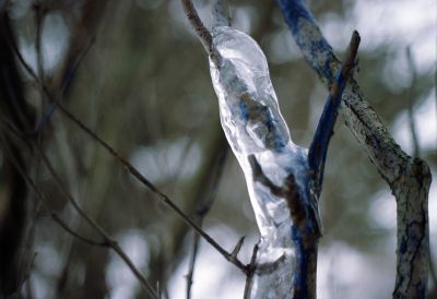 Enveloppe d'hiver
Mots-clés: NikonFM3A
