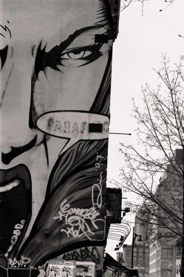 Mural Rue Ste Catherine, Montreal
Leica IIIc
Mots-clés: Montreal mural art rue