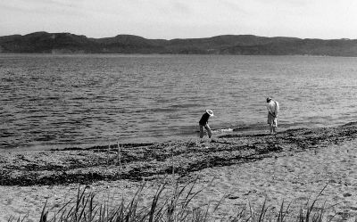 Recolte de Silences
Pris sur une plage en Gaspesie. La lumière n'était pas la meilleure, mais ce couple dans ses activités de repos ajouté un plus à cet après-midi dde plage
Mots-clés: Gaspesie plage silence marina couple comunion nikon FM3A