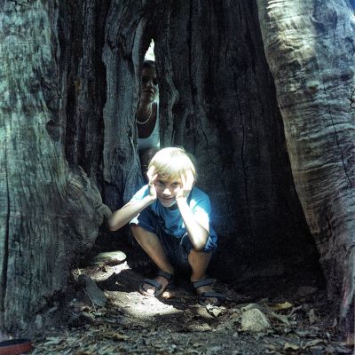 couleur_Gabin_et_sophie_arbre_reduite_finie.jpg