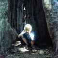 couleur_Gabin_et_sophie_arbre_reduite_finie.jpg