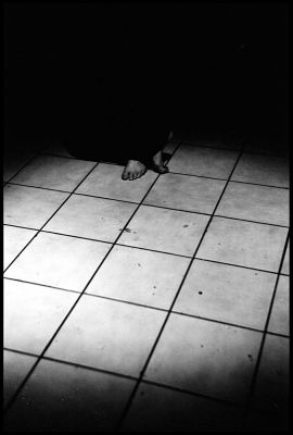 pieds
