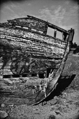 X-700-Neopan100-12.jpg