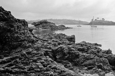 XD7-Neopan400-26.jpg
