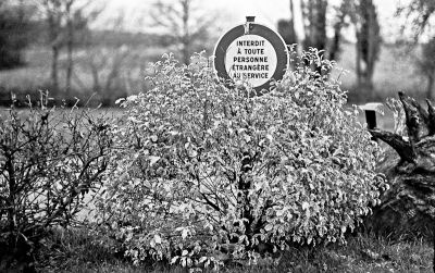 Zorki6-HP5plus-10.jpg