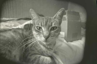 18mm024_hf.jpg