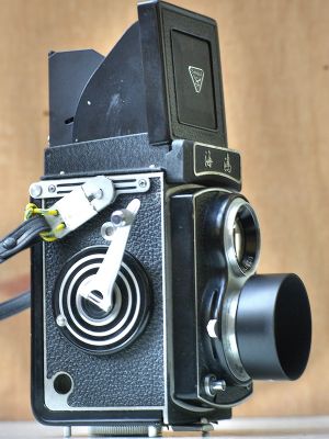 _IGP2333_hf.jpg