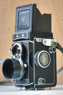 _IGP2334_hf.jpg
