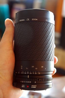 DSC_0078.JPG