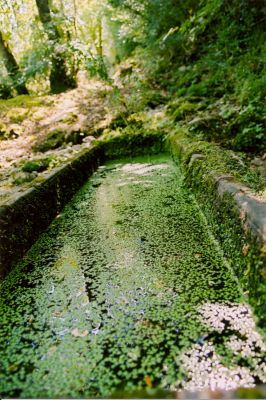 Abreuvoir
