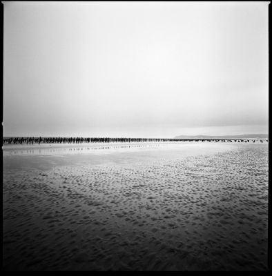 littoral89.jpg