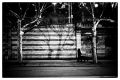 Sans-titre---18-sefx-20x30.jpg