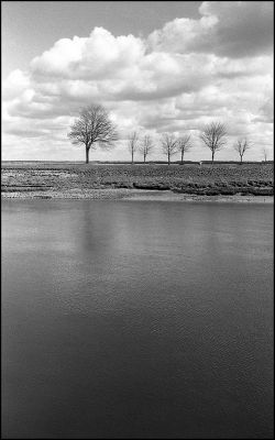 leica M2, 35 summaron, filtre jaune, tri-x
