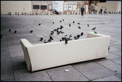 Pigeons sur canapé, place St Sulpice, Paris
Olympus 35RC - Portra 400NC
