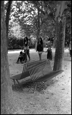 au jardin des plantes
Pentax spotmatic, s-tak 50/1.4, tri-x
