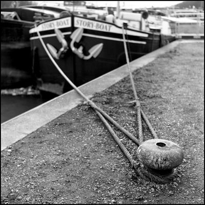 Yashica Mat, tri-x
