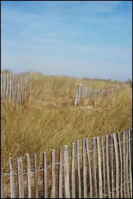dunes.jpg