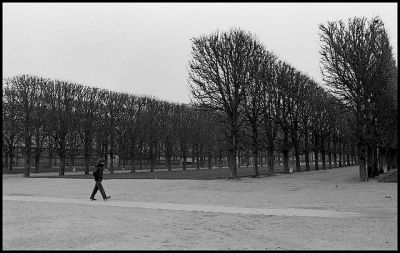 Jardin du Luxembourg
Nikon F3 - Nikkor 35/2 - Tri X

