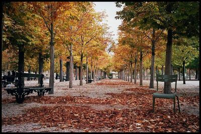 Luxembourg en automne
Olympus 35 RC, Portra 400 NC
