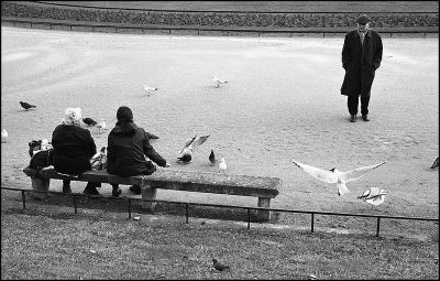 Contax G2, 45/2 planar, tri-x
