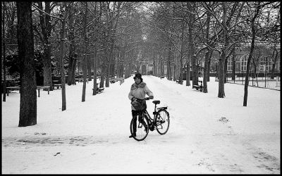 Le luxembourg sous la neige
Olympus 35 RC - Tri X
