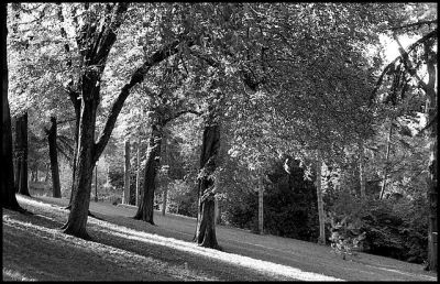 Montsouris
Nikon F3, 50/1.8E, Tri X @ 400
