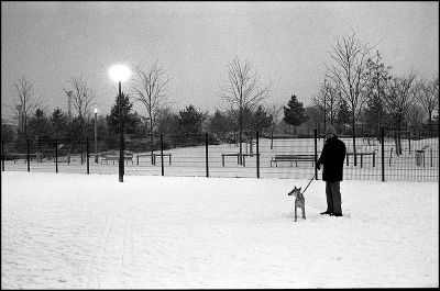 contax G2, planar 45/2, tri-x @ 800
