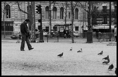Le passant
Paris - hiver 2008
Nikon EM - 105/2.5
