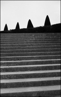 versailles3.jpg