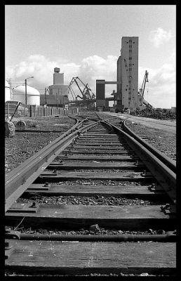 zone portuaire
Nikon F3 - Nikkor 35/2 - FP4+
