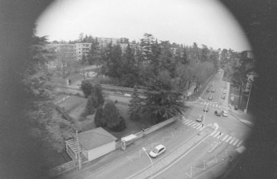 1-27-2010_036.JPG