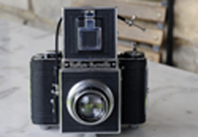 reflex korelle
