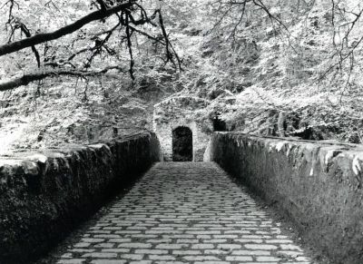 The hermitage
