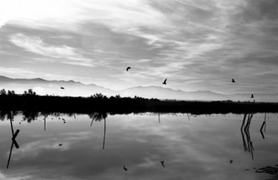 Calme1
Mots-clés: Etang