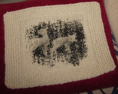 Woolly Lambs
Alternative process. 
Photographic emulsion applied on knitted wool. Picture of two lambs in Glen Affric, Scotland.
