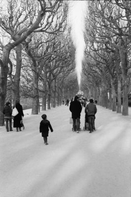 Jardin des plantes
Boitier : Zorki 4 + Jupiter 8
Film : Ilford HP5+
Révélateur : Kodak D-76 (1+3)
