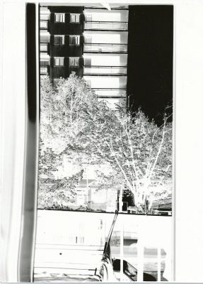 1er PF - scan du négatif
Support : papier Ilford Multigrade baryté
