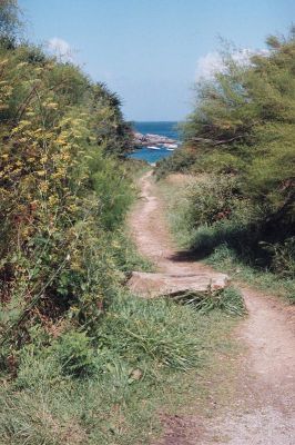 Plage_Bordery
Belle-Ile-en-Mer
