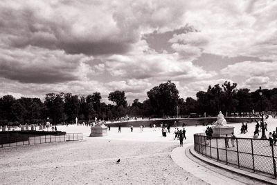 Jardin_des_tuileries

